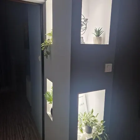 Blisko Natury * Olsztyn (Warmian-Masurian)